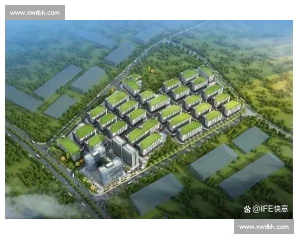 深耕足球行业渠道打造产业协同创新发展新格局平台高质量可持续